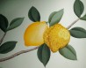 Lemon Grove Standard o Ice Blue dyed silk
