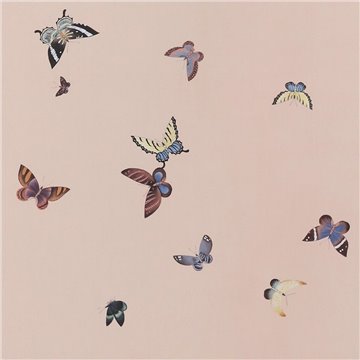 Butterflies Butterflies Icarus on Gentleman´s Pink dyed silk