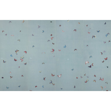Butterflies Butterflies...