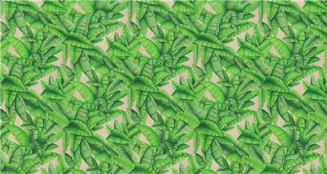 Palms Palms Verdoyant on dyed paper