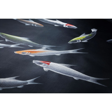 Poissons Koi sur Pitch soie...