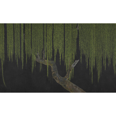 Willow Original sur Edo...