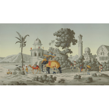 Early Views of India Paille...