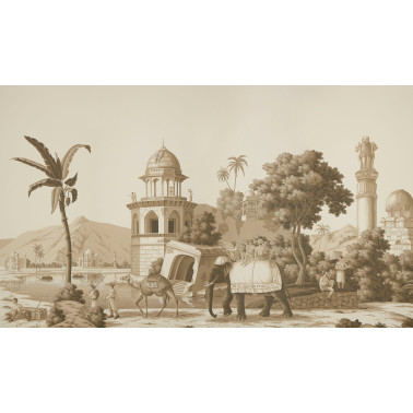 Early Views of India Sepia...