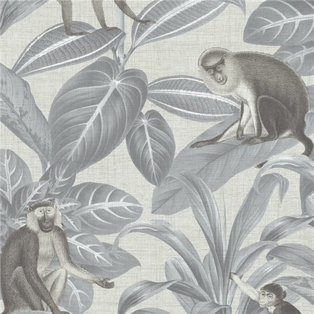 Indian Monkey Dusk Grey DYW0007 Indian Monkey Dusk Grey DYW0007