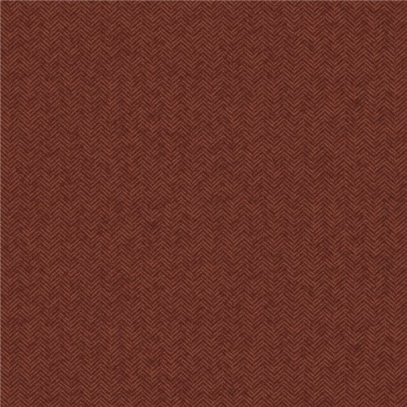 Kaffir Terra HIA404 Kaffir Terra HIA404