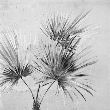 Palm Grey Scale 309095 Palm Grey Scale 309095