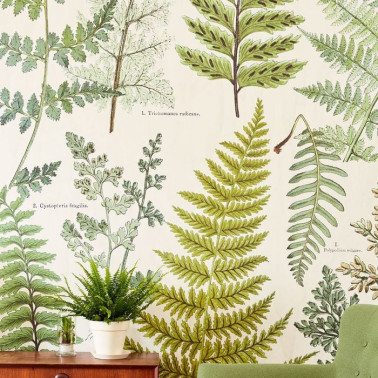 Herbarium vert 309017