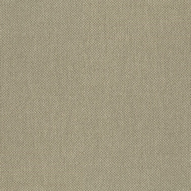 Baobab 6552