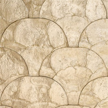 Camber Blanched Almond 33734 Camber Blanched Almond 33734