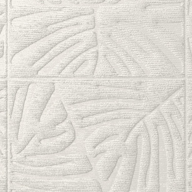 Monstera Bone 43024