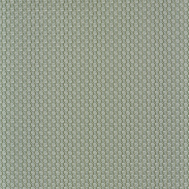Trenza Vert De Gris 74670354