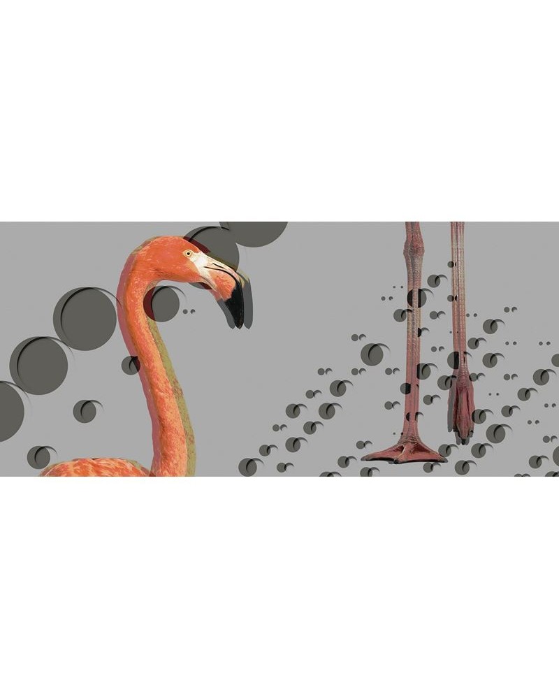 Wallpaper INKSSLI1403 FLAMINGOS - INKIOSTRO BIANCO Wallpaper INKSSLI1403 FLAMINGOS - INKIOSTRO BIANCO