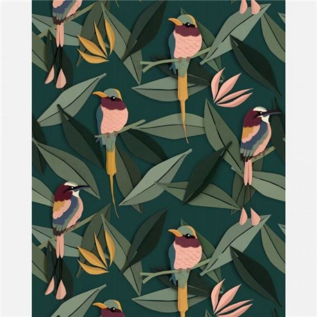 Birds Birds