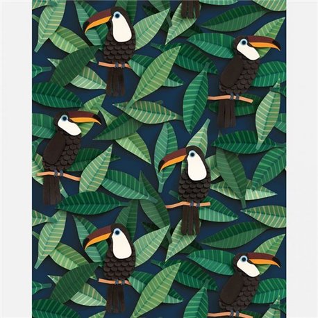 Toucan Toucan