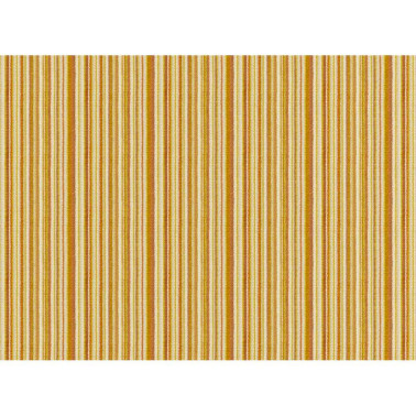 BINGO (FG) col. 5 M