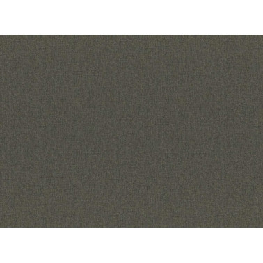 GIANT COL.25