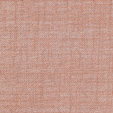 Rani 8067.01
