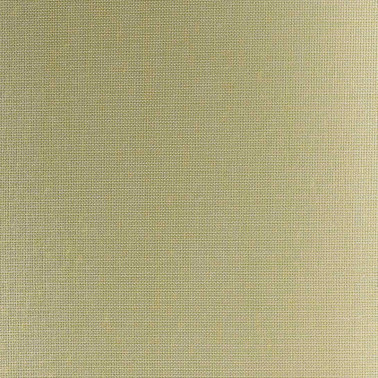 Swan 8071.10
