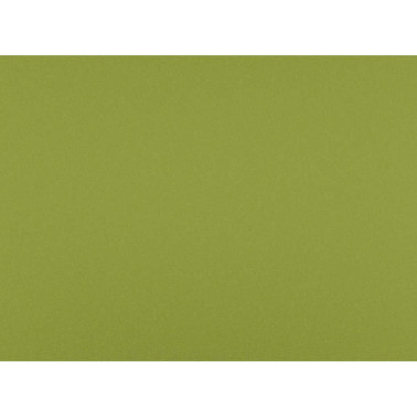 SUEDE col.35