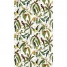 Michelia W7612-03