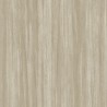 Bois Eucalyptus 85981233