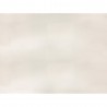 Crème blanche CARANDACHE 10