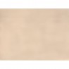 CARANDACHE 18 Milkshake