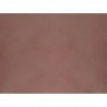 CARANDACHE 40 Dusty Rose