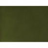 CARANDACHE 54 Cactus Green