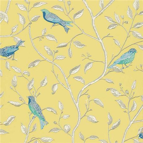 Finches Yellow DOPWFI101 Finches Yellow DOPWFI101