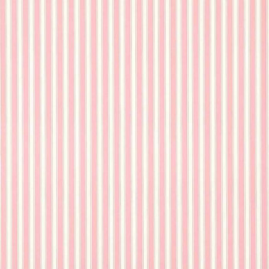 New Tiger Stripe Rose-Ivory DCAVTP101