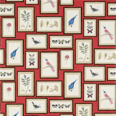 Picture Gallery Red-Multi DVOY213398 Picture Gallery Red-Multi DVOY213398