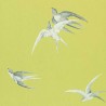 Swallows Lime DVIWSW101