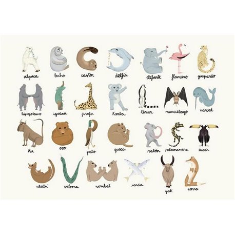 Animal Alphabet Multi 9700140