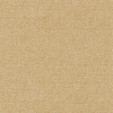 Raffias 9800025