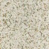Atome C0124