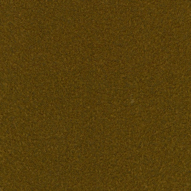 Baru C0450