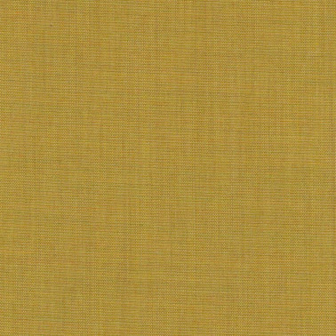 Canvas 2 C0446