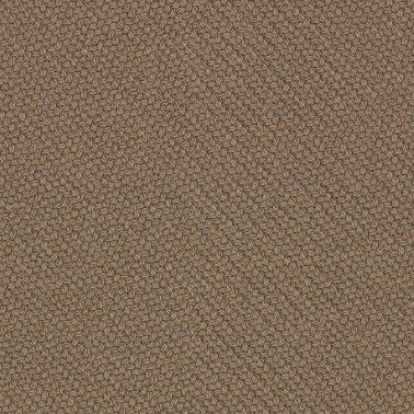 Coda 2 C0242