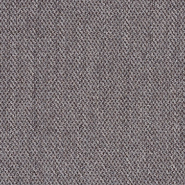Molly 2 C0164