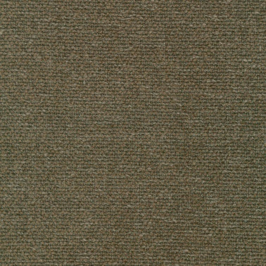Moss C0001