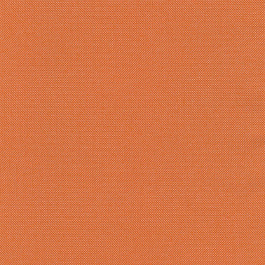 Revive 1 C0534