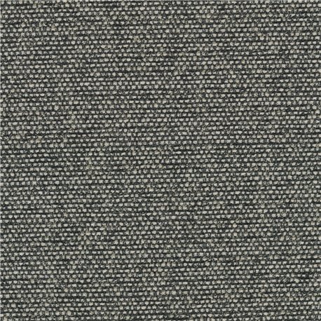 Savanna C0152