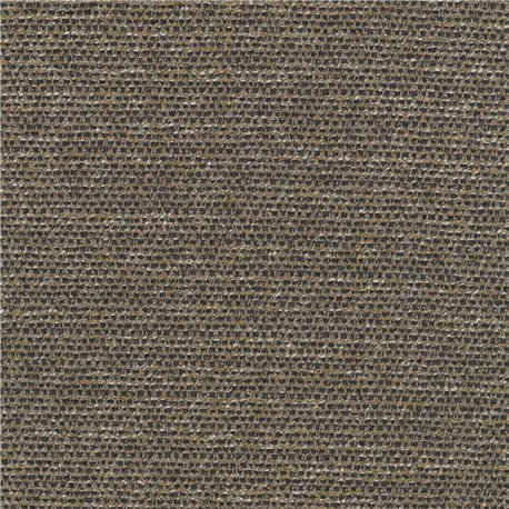 Savanna C0262