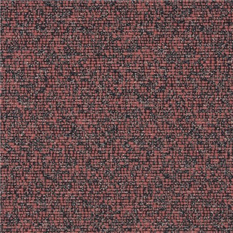 Sequence C0005