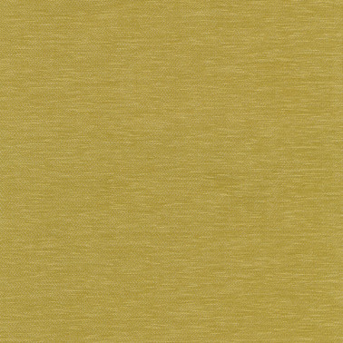 Still C0481