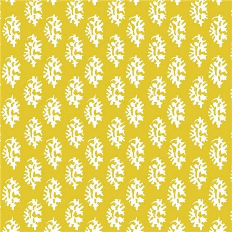 Seijo Amarillo LCT-1027-004 Seijo Amarillo LCT-1027-004