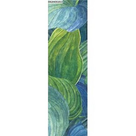 Hosta Aqua DG2HOS1013 Hosta Aqua DG2HOS1013