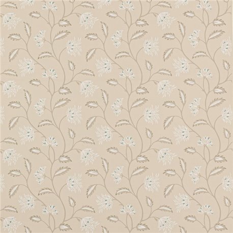 Oterlie Beige W7012-01 Oterlie Beige W7012-01